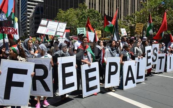 палестина, протест